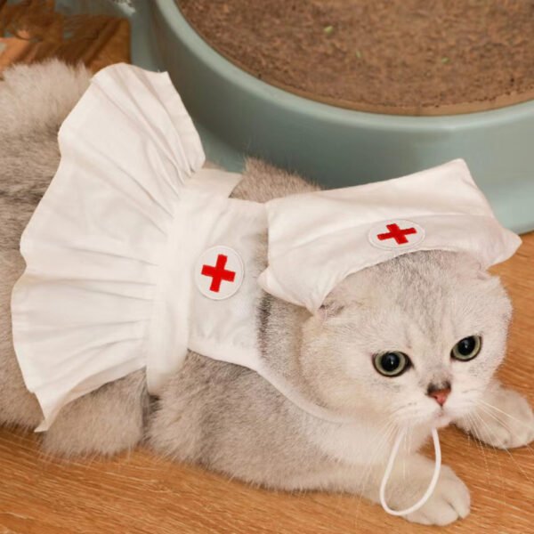 Fashionable And Personalized Cat Dress Set - Image 2