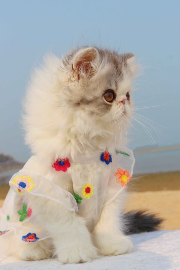 Mesh Flower Embroidery Dress Cat Clothes - Image 2