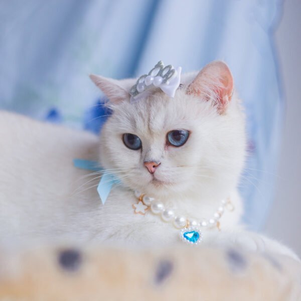 Pet Skirt Cat Fashion Cute Dress - Image 10