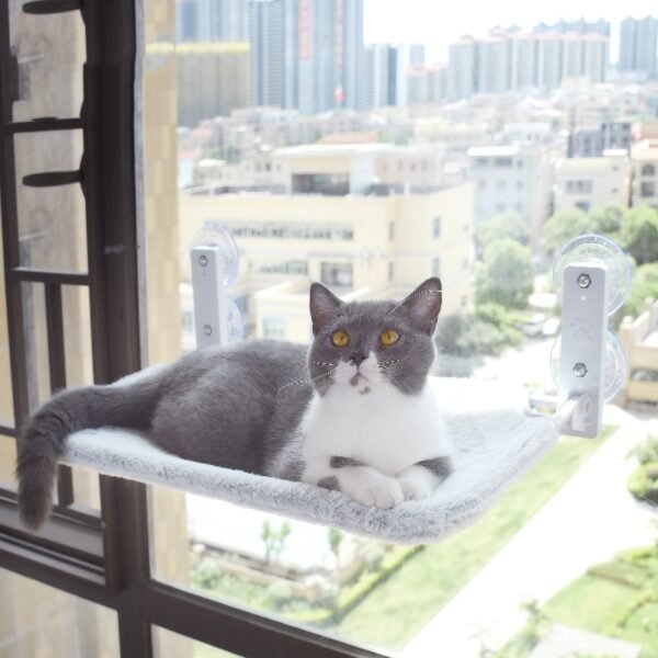 Cat Suction Cup Window Glass Hammock Pet Cat Pets Products - Image 7