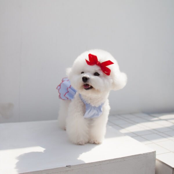 Fashion Summer Thin Pet Princess Dress - Image 2