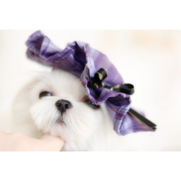 Dog Spring And Summer Cat Lace Dress Jk Plaid Big Bow Pleated Dress - Image 2