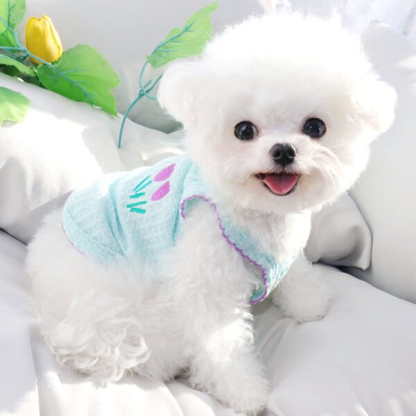 Teddy Bomei VIP Cat Small Dog Pet Dog Clothes - Image 2