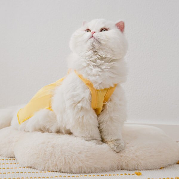 Sunflower Dog Two Foot Dress Pet Clothes - Image 4
