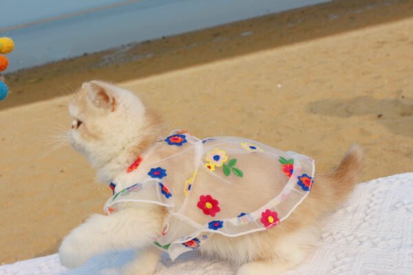Mesh Flower Embroidery Dress Cat Clothes - Image 7