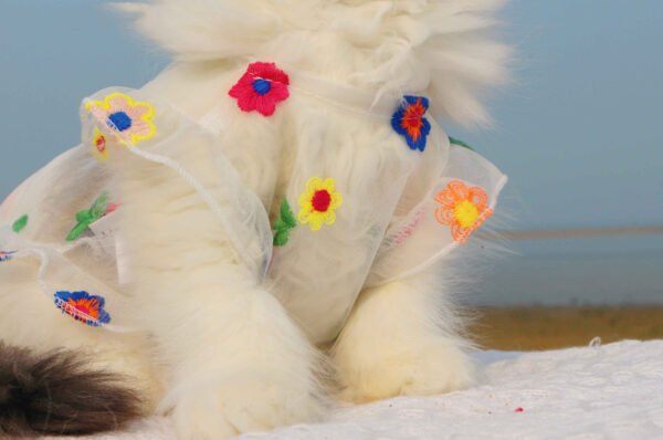 Mesh Flower Embroidery Dress Cat Clothes - Image 4