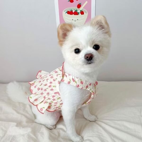Dog Pet Clothes Summer Halter Skirt - Image 3