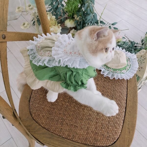Maid Clothes Lolita Dog Suit Cat Hat - Image 3