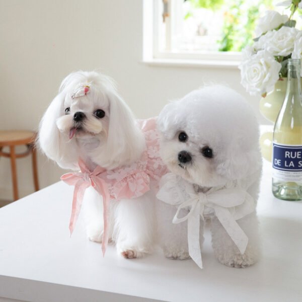 Tie Bow Collar Dress Pet Cat - Image 2