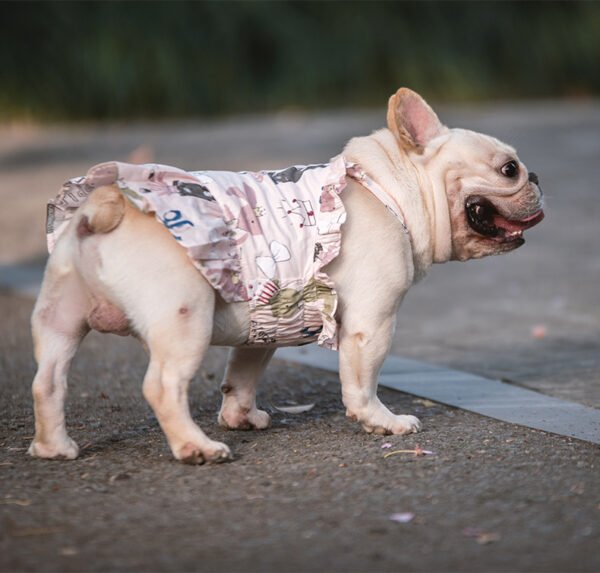 Teddy Schnauzer Pugs Small And Medium-sized Dogs Cats And Dogs Skirt - Image 3