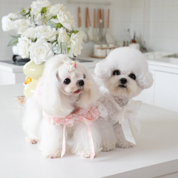 Tie Bow Collar Dress Pet Cat - Image 5