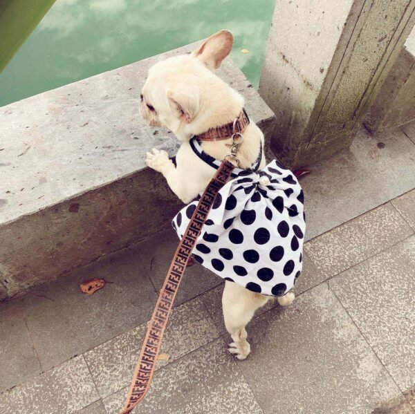 Dog Black Senior Cute Tutu Skirt - Image 3
