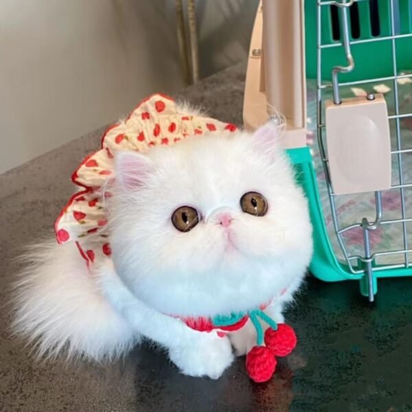 Dog Pet Clothes Summer Halter Skirt - Image 9