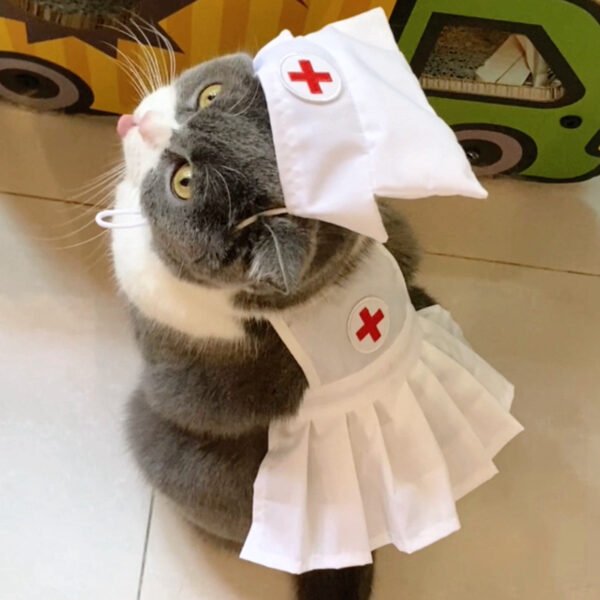 Fashionable And Personalized Cat Dress Set - Image 3