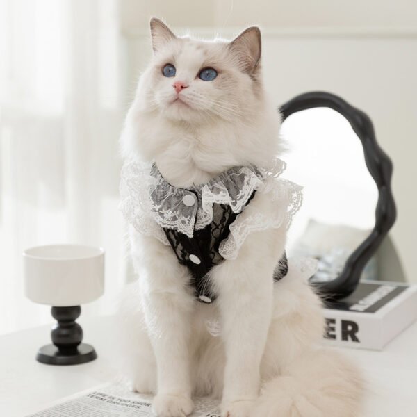 Cat Clothes Lace Traction Vest Puppy Kittens Thin Pet Cat Clothing - Image 7