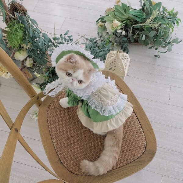 Maid Clothes Lolita Dog Suit Cat Hat - Image 5
