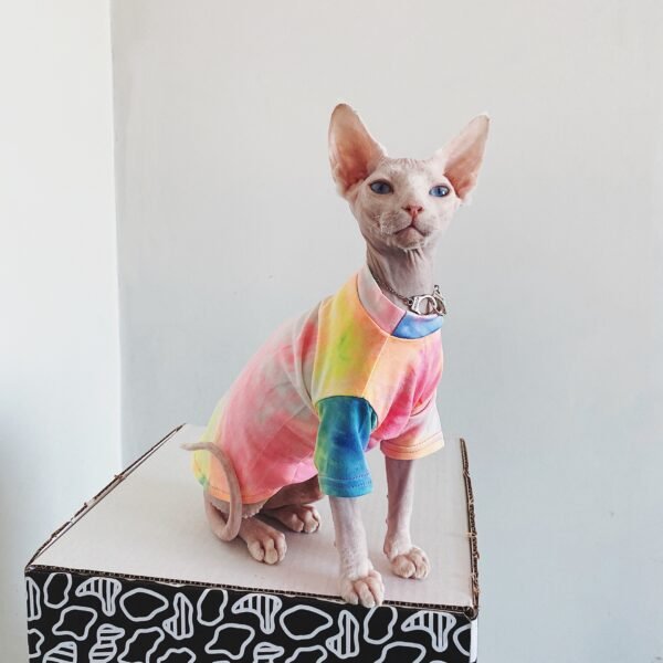 Hairless Cat Clothes Tie-dye Rainbow Primer - Image 3