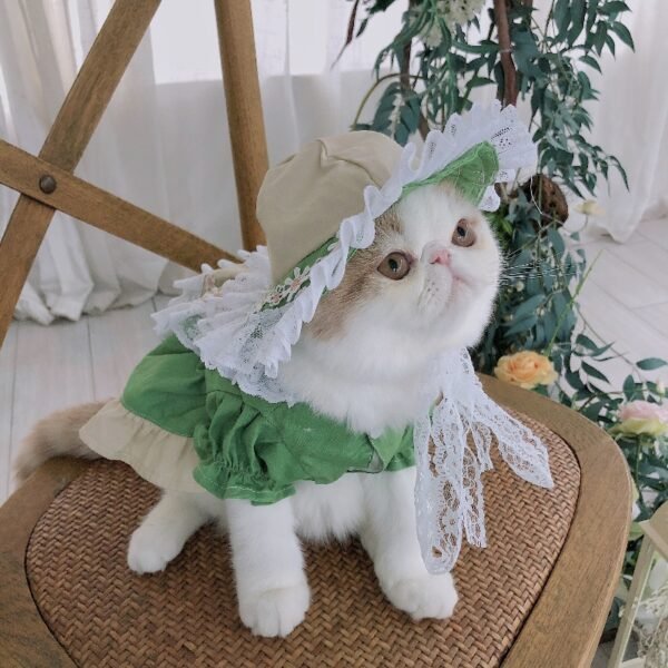 Maid Clothes Lolita Dog Suit Cat Hat - Image 4