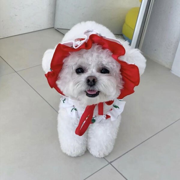 New Puppy Cute Cherry Swimsuit Dress - Image 9