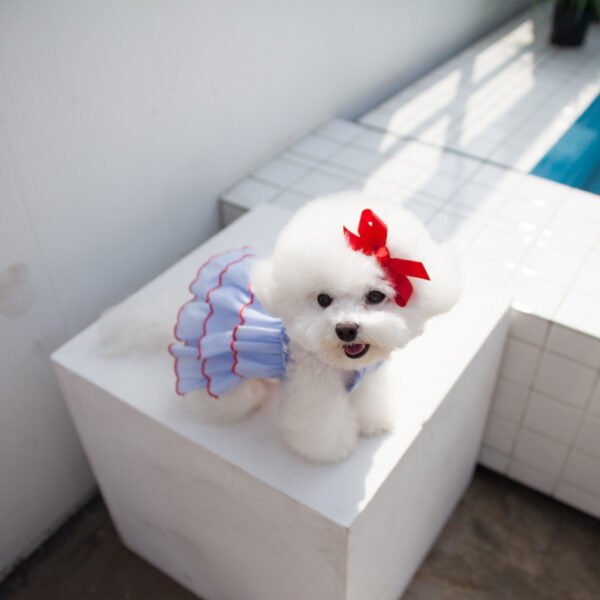 Fashion Summer Thin Pet Princess Dress - Image 4