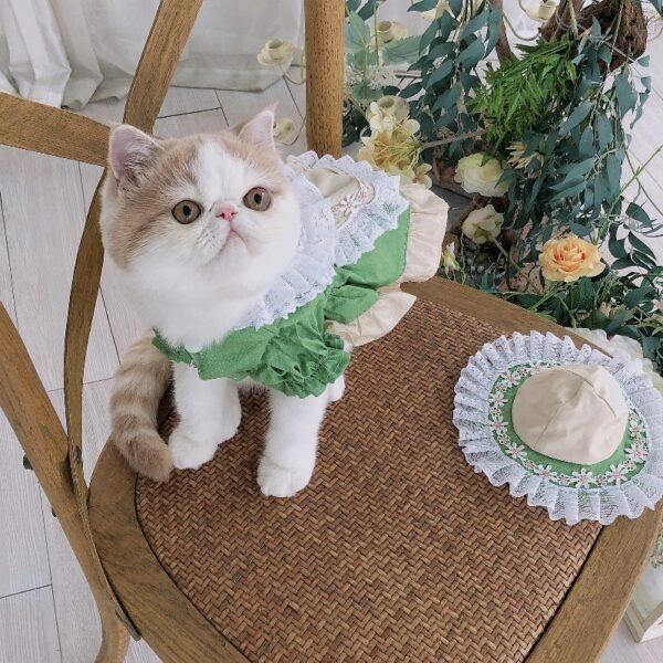 Maid Clothes Lolita Dog Suit Cat Hat - Image 2
