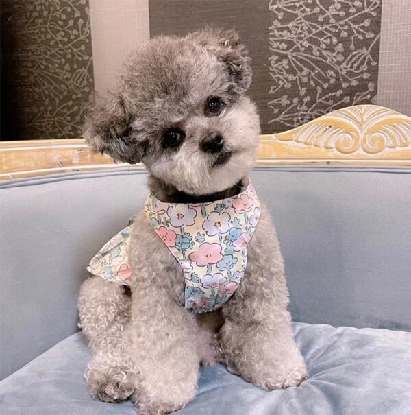 Dog Universal Cotton Blue And White Skirt Holding Hand Rope - Image 6