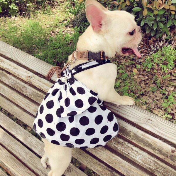 Dog Black Senior Cute Tutu Skirt - Image 4
