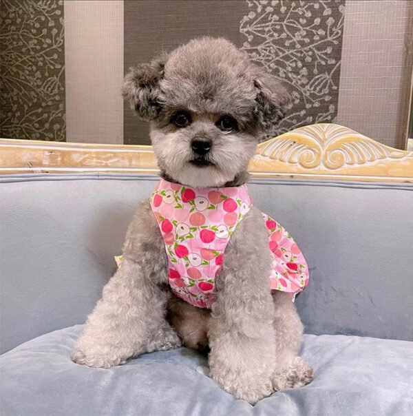 Dog Universal Cotton Blue And White Skirt Holding Hand Rope - Image 4