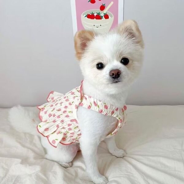 Dog Pet Clothes Summer Halter Skirt - Image 10