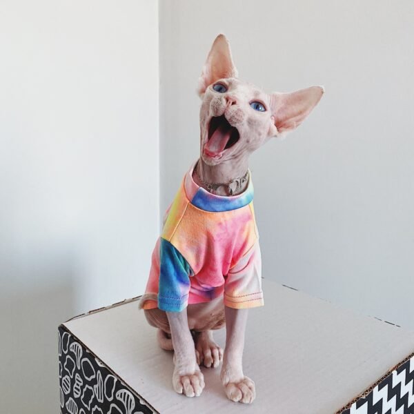 Hairless Cat Clothes Tie-dye Rainbow Primer - Image 4