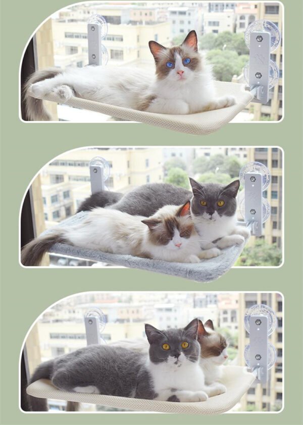 Cat Suction Cup Window Glass Hammock Pet Cat Pets Products - Image 8