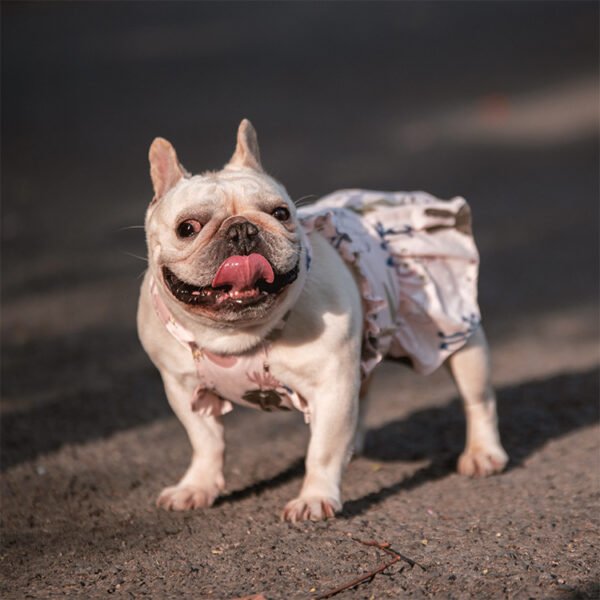 Teddy Schnauzer Pugs Small And Medium-sized Dogs Cats And Dogs Skirt - Image 5