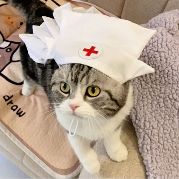 Fashionable And Personalized Cat Dress Set - Image 5
