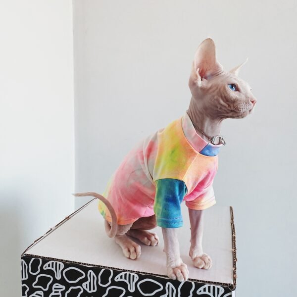 Hairless Cat Clothes Tie-dye Rainbow Primer - Image 5