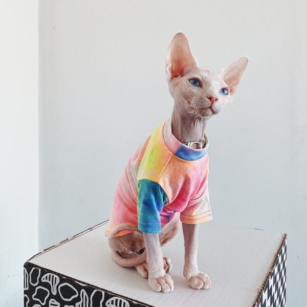 Hairless Cat Clothes Tie-dye Rainbow Primer - Image 2