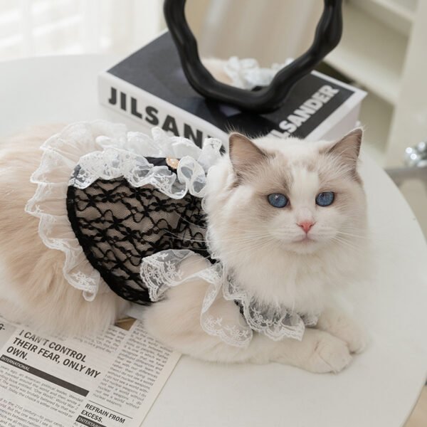 Cat Clothes Lace Traction Vest Puppy Kittens Thin Pet Cat Clothing - Image 3
